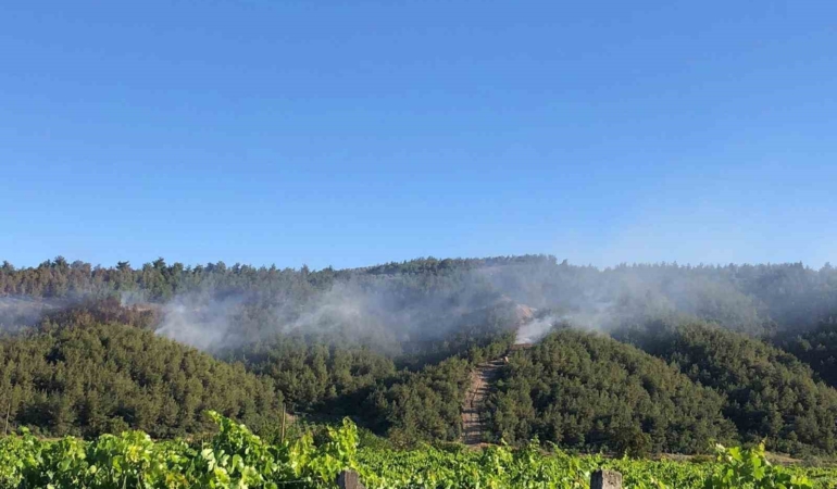 Sakarya’da ormanlık alanda çıkan yangına havadan ve karadan müdahale
