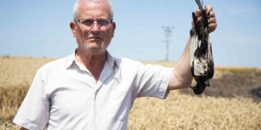 Saksağan yangın çıkardı: Köylüler seferber oldu