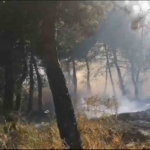 Savaştepe’de arazi yangını ormana sıçradı