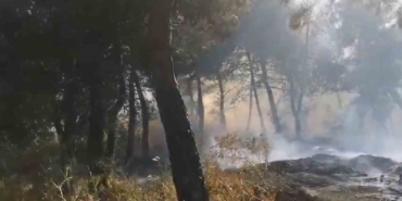 Savaştepe’de arazi yangını ormana sıçradı