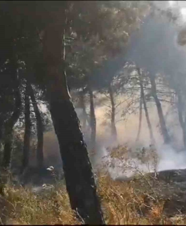 Savaştepe’de arazi yangını ormana sıçradı