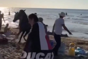 Şile plajına getirilen atlar insanların arasına daldı