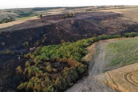 Silivri’de 30 dönümlük buğday tarlası küle döndü