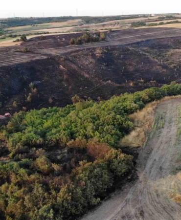Silivri’de 30 dönümlük buğday tarlası küle döndü
