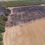 Silivri’de 80 dönümlük arazi, yangında zarar gördü