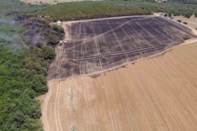 Silivri’de 80 dönümlük arazi, yangında zarar gördü