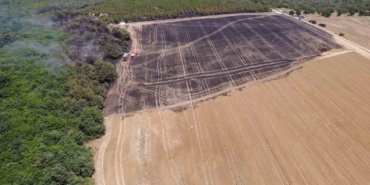 Silivri’de 80 dönümlük arazi, yangında zarar gördü