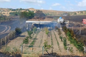 Silivri’de otluk alanda yangın: Alevler yerleşim alanına doğru ilerledi, panik yaşandı