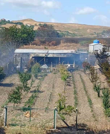 Silivri’de otluk alanda yangın: Alevler yerleşim alanına doğru ilerledi, panik yaşandı