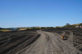 Silivri’de otluk alandaki yangın söndürüldü, yanan alan dron ile görüntülendi
