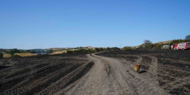 Silivri’de otluk alandaki yangın söndürüldü, yanan alan dron ile görüntülendi