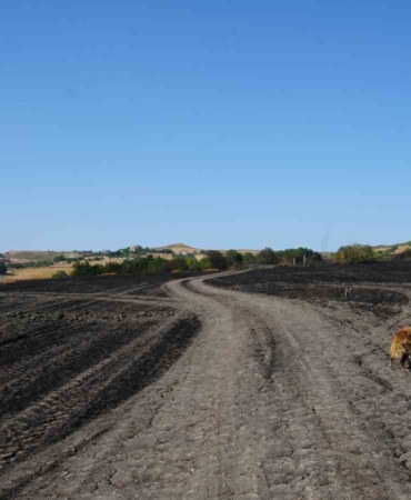 Silivri’de otluk alandaki yangın söndürüldü, yanan alan dron ile görüntülendi