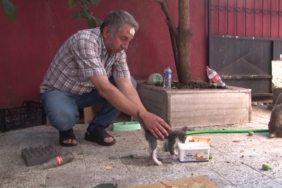 Sokak hayvanlarını beslediği için darp edildi