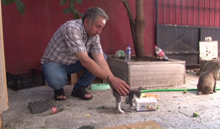 Sokak hayvanlarını beslediği için darp edildi