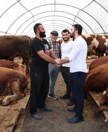 Sultangazi Kurban Satış Alanı’nda bayram yoğunluğu