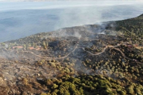 Tarihi tapınak bölgesinde 43 futbol sahası alan zarar gördü