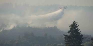 Tarım ve Orman Bakanı İbrahim Yumaklı: "Yangından etkilenen alanın yaklaşık 575 hektar olduğunu tahmin ediyoruz"