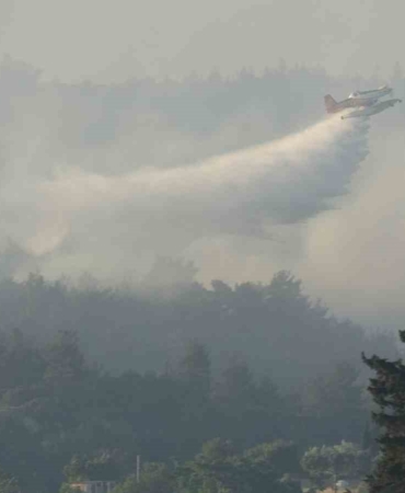 Tarım ve Orman Bakanı İbrahim Yumaklı: "Yangından etkilenen alanın yaklaşık 575 hektar olduğunu tahmin ediyoruz"