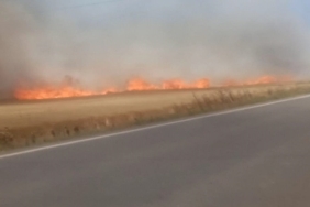 Tekirdağ’da 180 dönüm buğday cayır cayır yandı: 3 yaralı