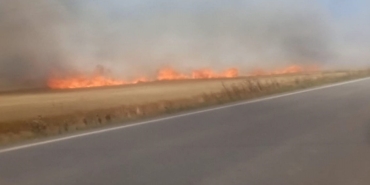 Tekirdağ’da 180 dönüm buğday cayır cayır yandı: 3 yaralı