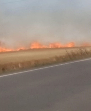 Tekirdağ’da 180 dönüm buğday cayır cayır yandı: 3 yaralı