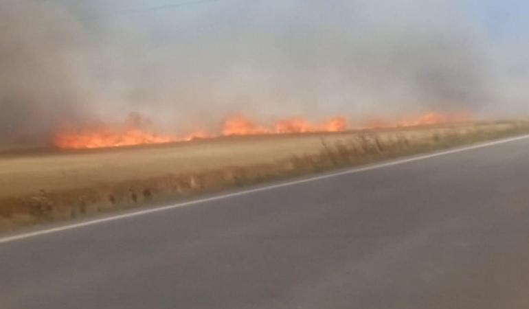 Tekirdağ’da 180 dönüm buğday cayır cayır yandı: 3 yaralı