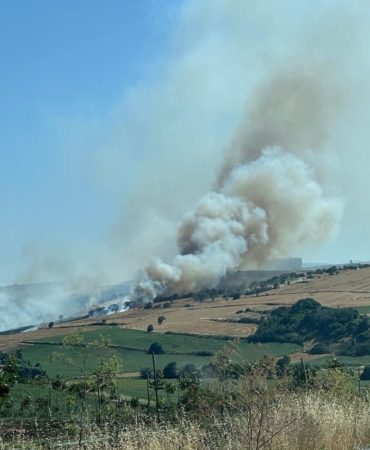 Tekirdağ’da alev alev yanan buğday tarlası küle döndü