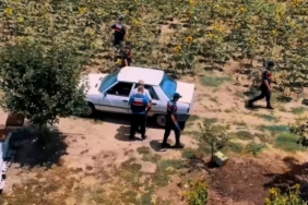 Tekirdağ’da hazine arazisine kenevir eken şahıs yakalandı