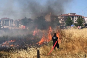 Tekirdağ’da mahalle arasındaki arazi yangını korkuttu: 50 güvercin son anda kurtarıldı