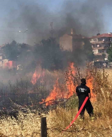 Tekirdağ’da mahalle arasındaki arazi yangını korkuttu: 50 güvercin son anda kurtarıldı