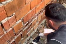 Tekirdağ’da uyuşturucu operasyonu: 3 kişi tutuklandı