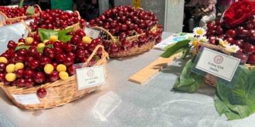 Tekirdağ’da yarım asırdır devam eden festival başladı