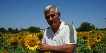 Trakya’da geç ekim yapılan ayçiçeği kuraklık stresinde