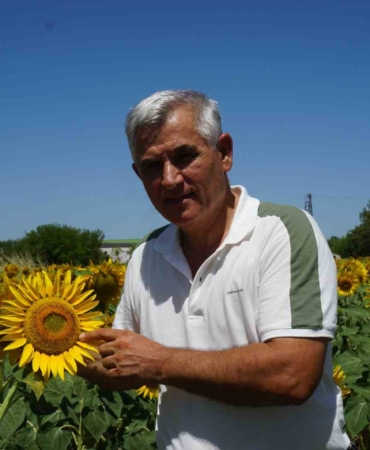 Trakya’da geç ekim yapılan ayçiçeği kuraklık stresinde