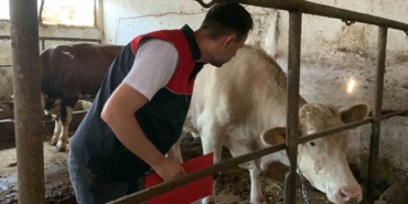 Trakya’da kurban kesim ve satış alanlarında denetleniyor