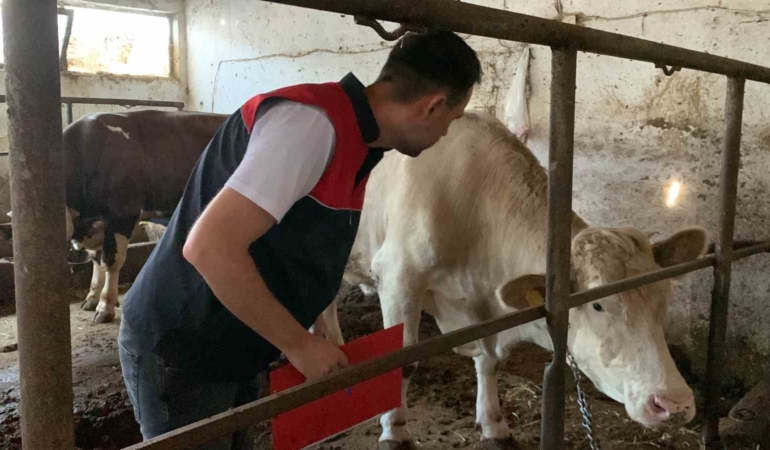 Trakya’da kurban kesim ve satış alanlarında denetleniyor