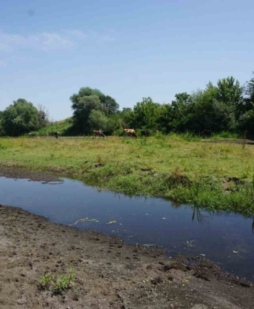 Tunca Nehri’nde kuraklık alarmı: Bölge üreticisi endişeli