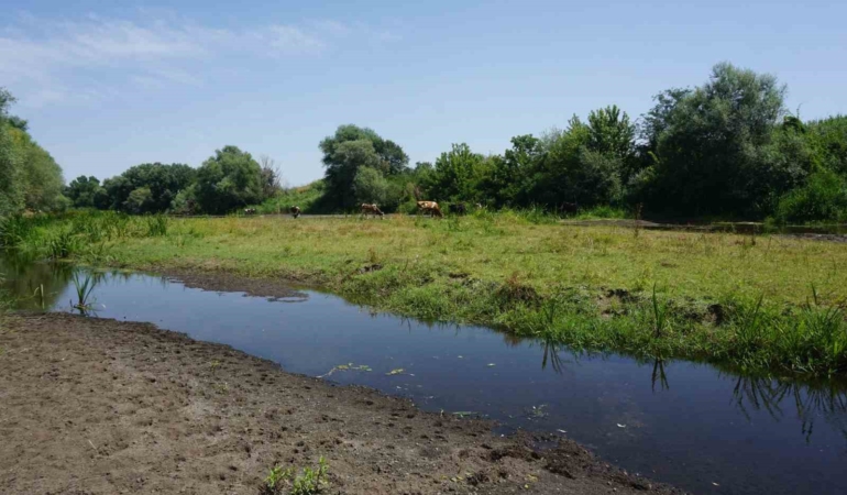Tunca Nehri’nde kuraklık alarmı: Bölge üreticisi endişeli