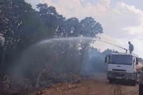 Türkiye-Bulgaristan sınırında çıkan yangın söndürüldü