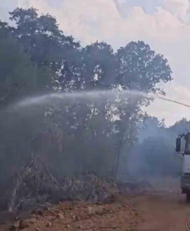 Türkiye-Bulgaristan sınırında çıkan yangın söndürüldü