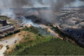 Tuzla’daki fabrika yangını ağaçlık alana sıçradı