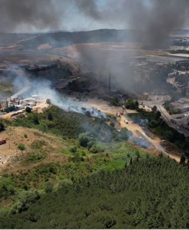 Tuzla’daki fabrika yangını ağaçlık alana sıçradı