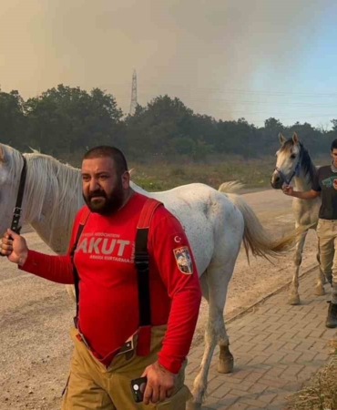 Uludağ Üniversitesi içindeki ormanlarının yarısı alevlere teslim oldu
