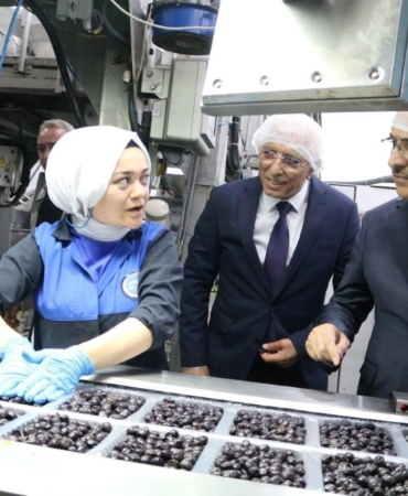 Vali Demirtaş: "Marmarabirlik zeytin üreticisinin can simidi"