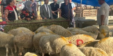Vali İlhami Aktaş, Canlı Hayvan Pazarı ve Cuma Pazarında incelemelerde bulundu