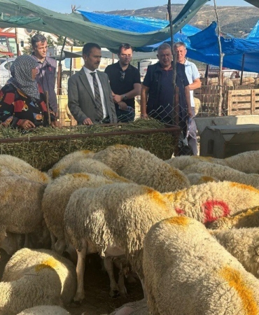 Vali İlhami Aktaş, Canlı Hayvan Pazarı ve Cuma Pazarında incelemelerde bulundu
