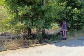 Yalova Çınarcık’ta arazi yangını