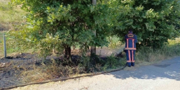 Yalova Çınarcık’ta arazi yangını