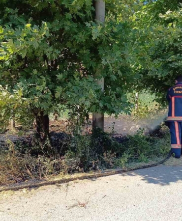 Yalova Çınarcık’ta arazi yangını