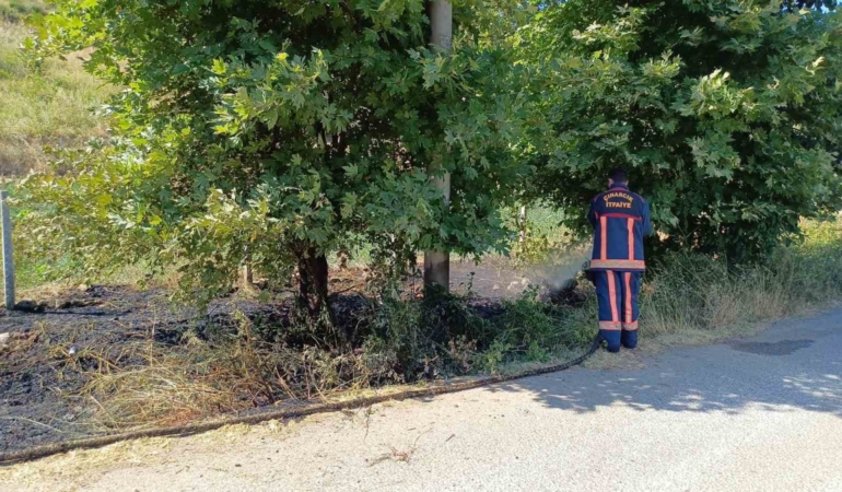 Yalova Çınarcık’ta arazi yangını